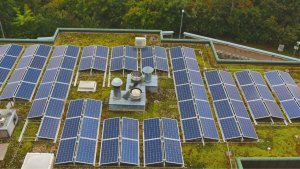 Photovoltaik mit einem Gründach kombinieren
